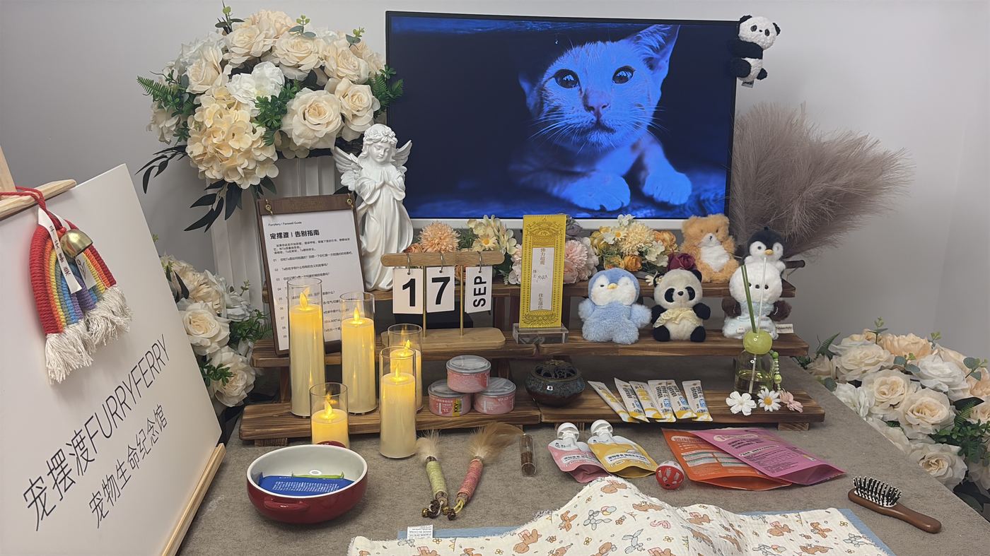 长沙宠物告别厅布置：如何给星城家属一个体面的告别