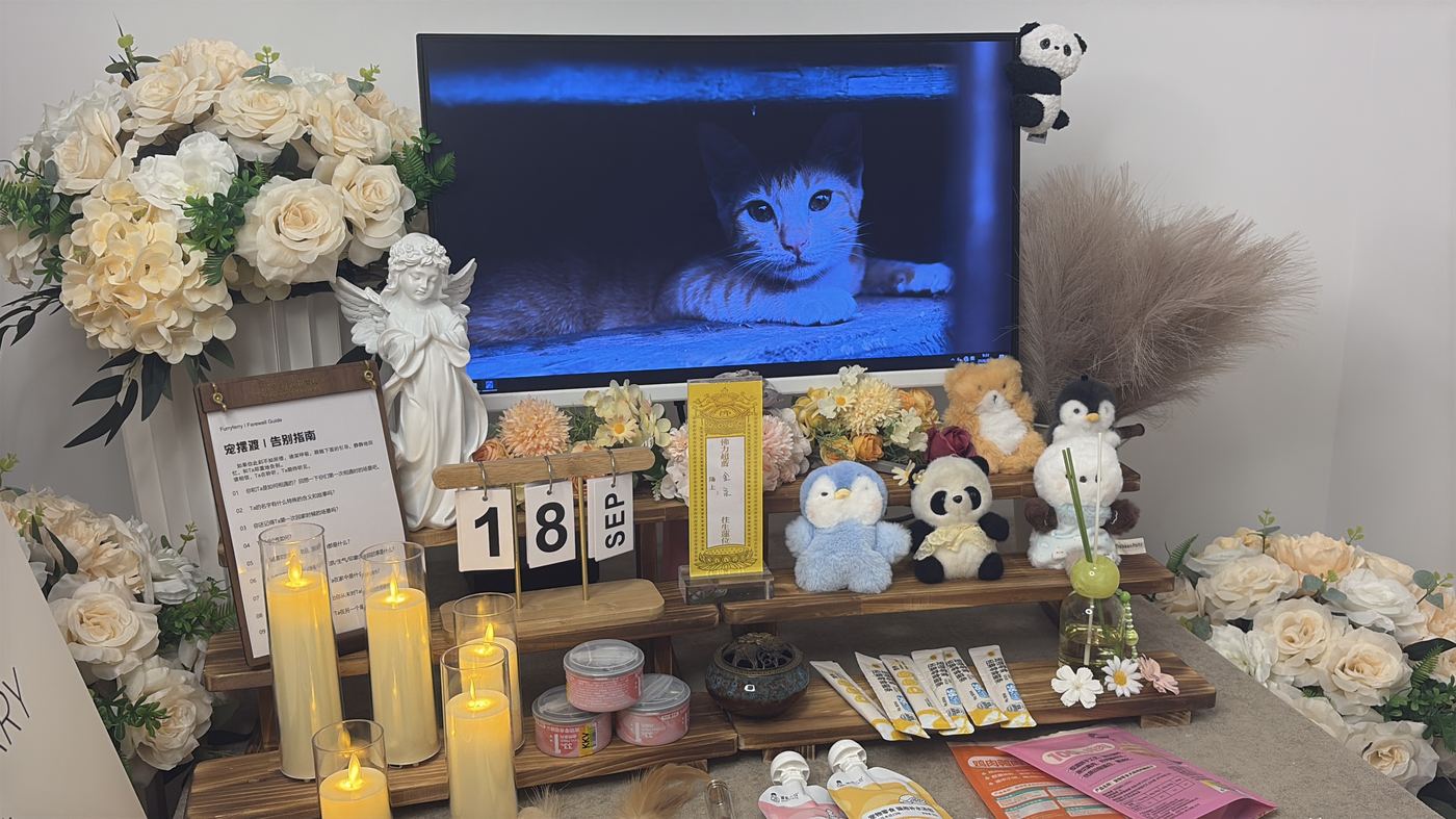 二、每一笔钱花在哪里