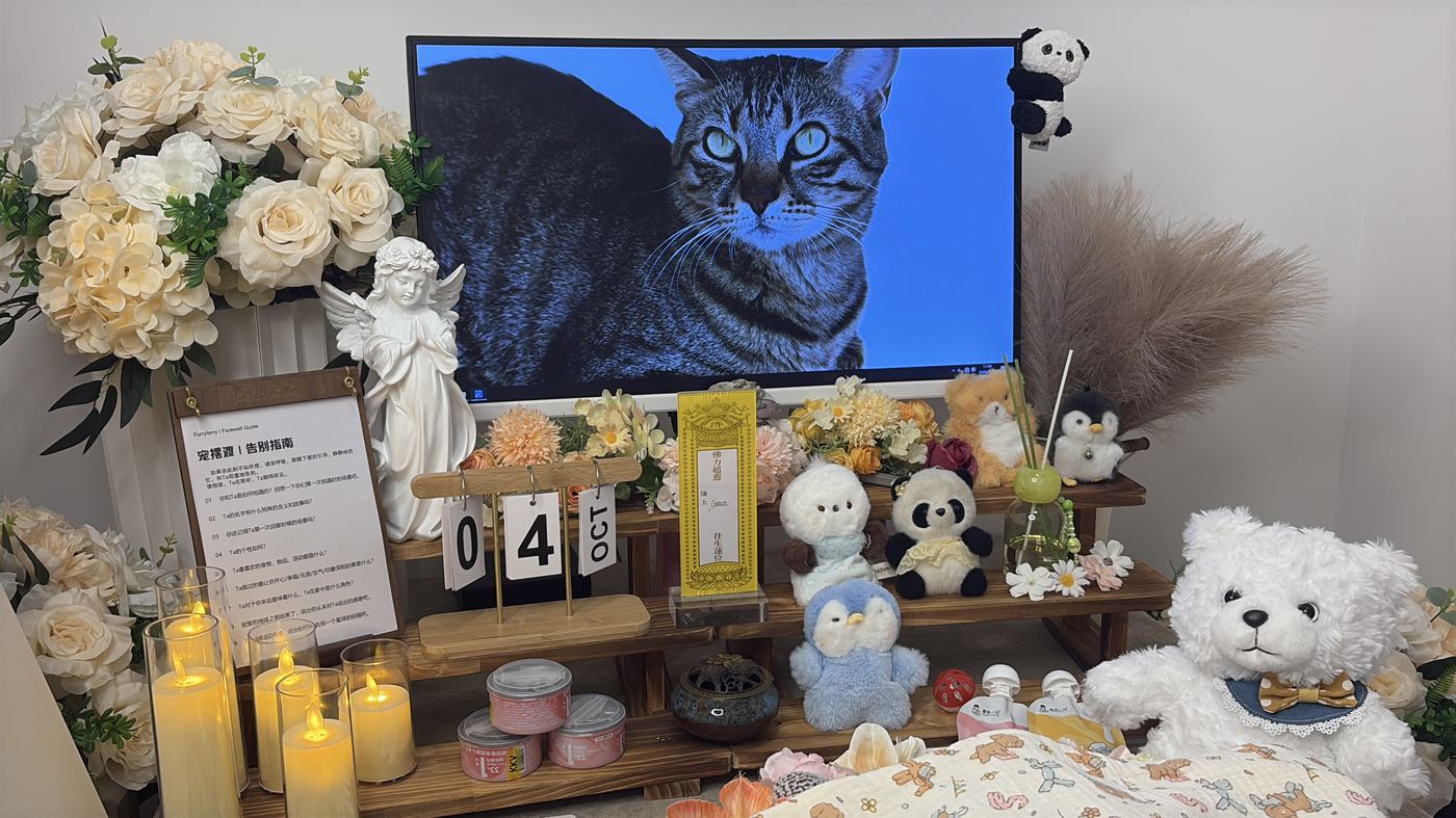 一、办理全流程说明